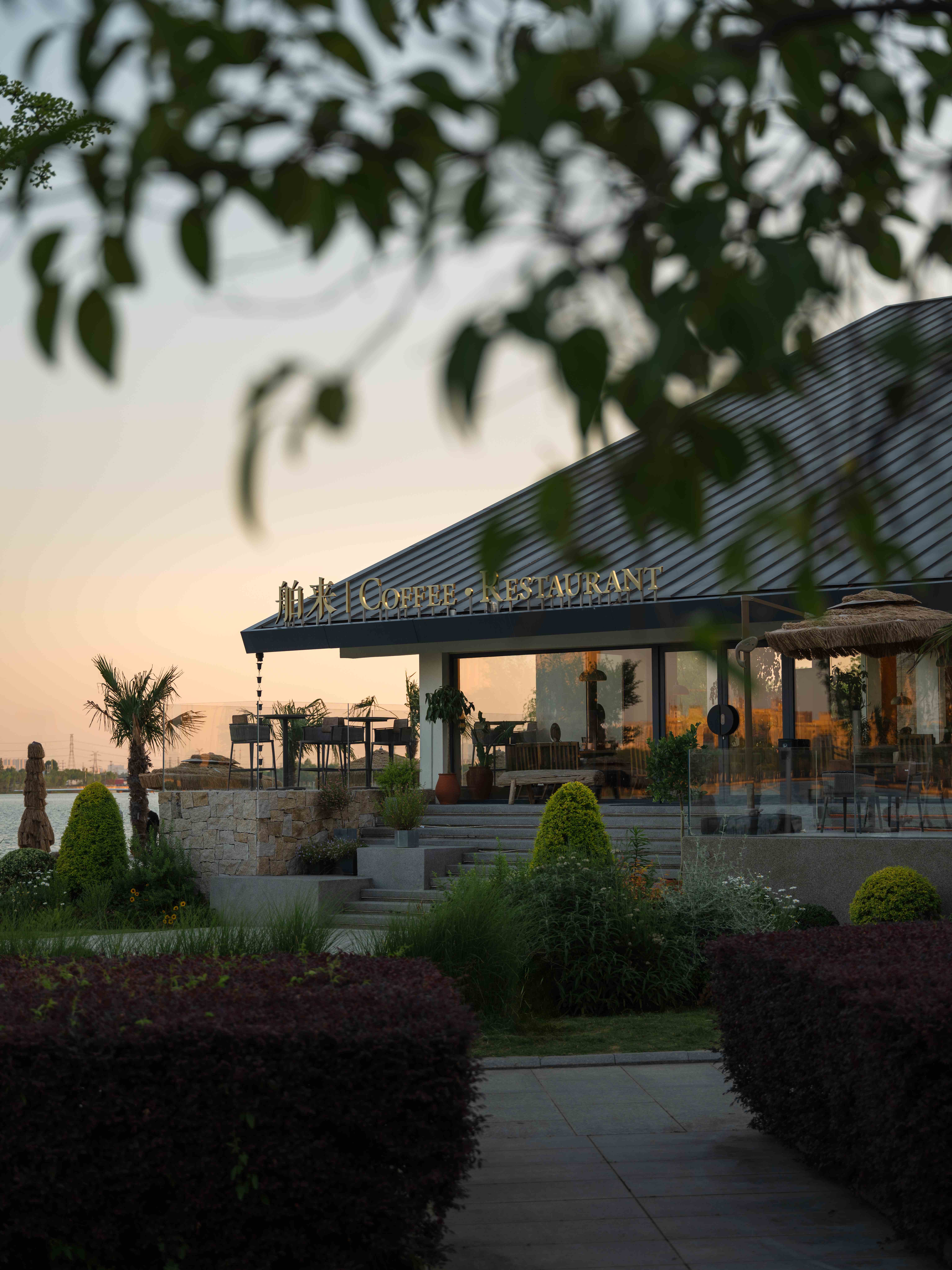 【实景拍摄】舶来coffee | 自然之舟